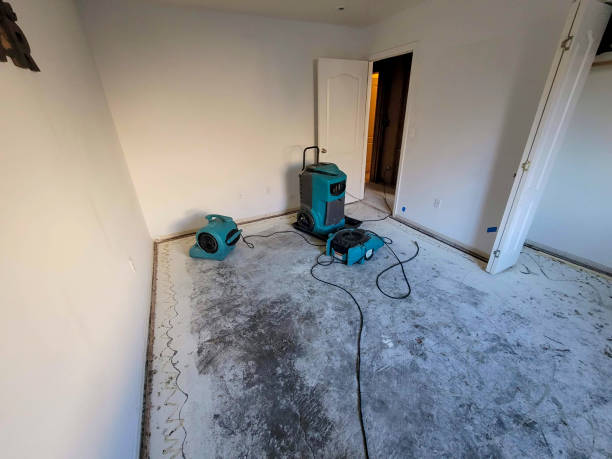 Best Flooded house restoration  in Snyder, TX