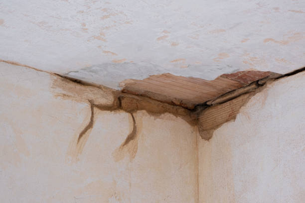Best Carpet water damage restoration  in Snyder, TX