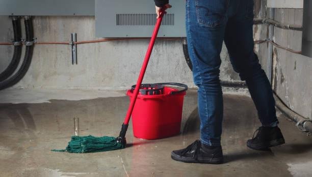 Best 24-hour water damage restoration  in Snyder, TX