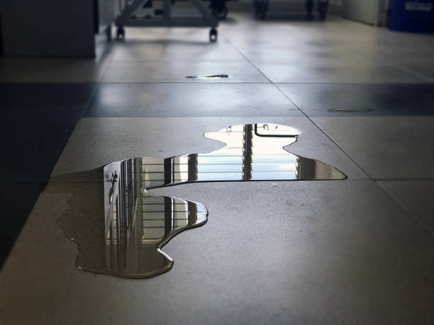 Best Local water damage restoration  in Snyder, TX