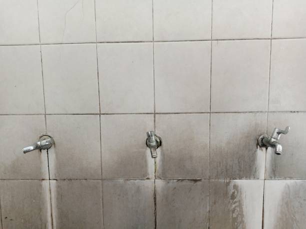 Best Local water damage restoration  in Snyder, TX