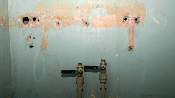 Best Flood damage cleanup  in Snyder, TX