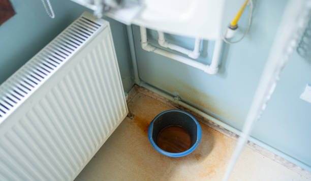 Best Mold removal after water damage  in Snyder, TX