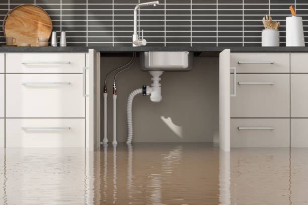 Best Flood restoration services  in Snyder, TX
