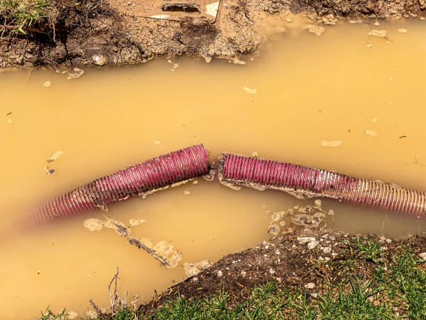 Best Commercial water damage restoration  in Snyder, TX